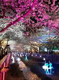 Aunque hace solo 60 años corea del sur se consideraba un país en desarrollo, en la actualidad es uno de los líderes económicos y culturales de asia. 25 Ideas De Paisajes Paisajes Corea Del Sur Seul Viajar A Corea Del Sur