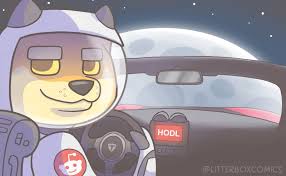 Elon musk, chief executive at tesla and spacex, drove the price of dogecoin cryptocurrency by as much as 35% higher with a series of tweets late saturday. Elon Musk On Twitter D Is For Dogecoin Instructional Video Https T Co Ueeocofctb
