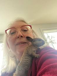 Hi all! I just wanted to introduce myself and share a photo that I  took,Hello po🙂❤️,Good Evening Everyone ❤️thank you so much po,i am the one  to be part of this program,God