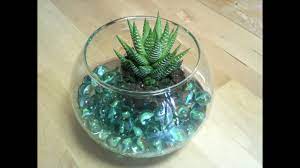 Mira mas ideas para bautizos a continuación: Como Hacer Un Centro De Mesa Con Cactus Y Pecera Facilisimo Com Youtube