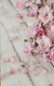 Shabby chic grey wooden background with a collection of hearts o. Astonishing Ideas Shabby Chic Living Room Christmas Shabby Chic Background Display Shabby Chic Nursery Printables Shabby C Rose Petals Pink Roses Pink Flowers