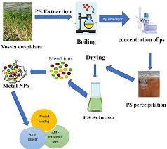 Image result for Vossia cuspidata