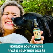 Up to 50% off select toys, beds & more