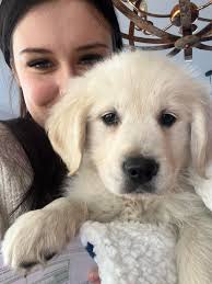 Is 50-day-old puppy biting normal?