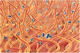 The disease is especially serious for babies. What Is Whooping Cough