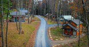 Aerial View Of Blue Moon Rising Hobbitat Com Tiny House Village Best Tiny House Tiny House Community