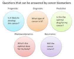 An elevated afp means ectopic tumors in: Cancer Biomarker Wikipedia