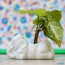 26 Off On Lasaki Elephant Ceramic Pots For Indoor Plants Planters Flower Pots Gamla For Indoor Outdoor Balcony Home Garden Office Decor Bonsai Pot Succulent Pot L 18 Cm W 10 Cm H 10 Cm White On Amazon Paisawapas Com