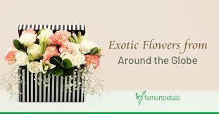 Accra pleasure girls on exotic ghana. 15 Exotic Flowers From Around The Globe