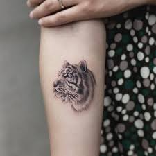 15 Small Tiger Tattoo Designs And Ideas Petpress Tiger Tattoo Design Tiger Tattoo Small Tiger Tattoo