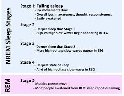 Sleep Stages Explained How Your Brain Works At Night