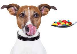 Check spelling or type a new query. 3 Pet Medication Scams And What You Can Do About Them Marketwatch