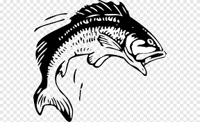 We did not find results for: Fishing Free Content Bass Bass Jumping S Monochrome Head Png Pngegg
