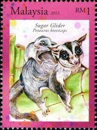 Sugar gliders malaysia own a sugar glider. Stamp Sugar Glider Petaurus Breviceps Malaysia Fauna 2013 Mi My 2030 Sg My 1939 Wad My007 13