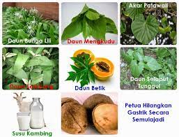 Itu mungkin tanda gastrik angin. Pengalaman Saya Dengan Sakit Gastrik Satu Ketika Dahulu