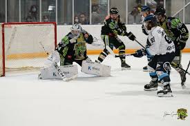 Qui aurait cru que le hockey sur glace serait un sport où le prestige de mulhouse rejaillirait presque aux côtés de la natation ? Defaite Pour Les Krokos En Coupe De France Krokos Hockey Sur Glace