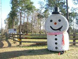 It was a modular extension to the animal habitat the emu experience. Pin On Christmas
