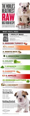 Pin On What Can Dogs Eat