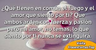 Imagenes De Amor Pasion Y Deseo Con Frases