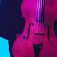 Vitamin String Quartet
