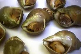 Image Bulot Buccin Des Bulots Ou Buccin Risotto Fruits De Mer Spaghetti Fruits De Mer Plateau De Fruits De Mer