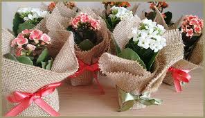 Lembrancinha Mini Kalanchoe Na Juta No Elo7 Incantare Decoracao Botanica C63840 Flor Da Fortuna Decoracao Botanica Flores
