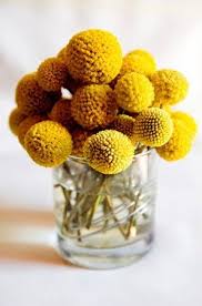 Check out our pom pom flowers selection for the very best in unique or custom, handmade pieces from our home décor shops. Currently Loving Yellow Pom Flowers Ruffled Flower Arrangements Diy Yellow Wedding Flowers Flower Arrangements
