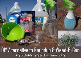 In this video, i hope to teach you how to control weeds in the lawn, even if you. Diy Alternative For Weed B Gone Or Roundup Homemade Recipe Is Effective And Safe The Thrifty Couple