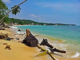 Tripadvisor has 1,392,396 reviews of sri lanka hotels, attractions, and restaurants making it your best sri lanka resource. Sri Lanka Is Open For Tourism But Strict Entry Restrictions Remain