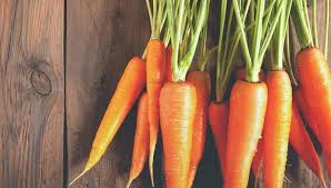 Dauci, it infects younger foliage rather than older leaves and appears earlier in the season. Carrot Allergy Symptoms Foods To Avoid And More