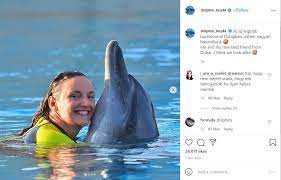 Katinka hosszu's full swimming biography, including katinka hosszu's best times, medals, news and more. Rengeteg Tamadast Kap A Hosszu Katinkaval Fenykepezkedo Delfin Hircsarda