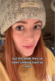 Security footage of the mosquito in my room last night #fyp#mosquitoes...