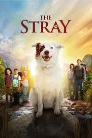 Watch Family Movies Online Free Putlockers Full Movies Online Free Strayed Movie Full Movies