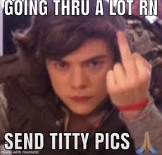 Pin By Mia On Harry Styles Da Misogynist Harry Styles Memes One Direction Humor One Direction Memes