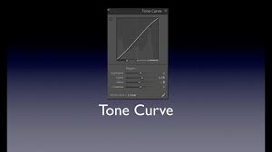 If you hover over each region of the tone curve, lightroom will show you what region is being affected. Learn Lightroom 5 Part 13 Tone Curve Training Tutorial Youtube