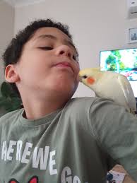 Darrien Chico Orsborn