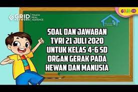 Soal dan jawaban gerak pada hewan. Soal Dan Jawaban Organ Gerak Pada Hewan Dan Manusia Belajar Dari Rumah Di Tvri 21 Juli 2020 Kids
