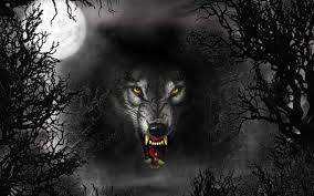 You can also upload and share your favorite black wolf wallpapers. Black Wolf Wallpapers Wallpaper Cave
