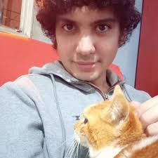 Are sign cards box toppers with random inserts?