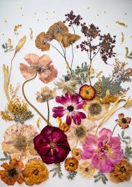 Diy Pressed Flower Art Shannon Kirsten Studio Bloglovin Pressed Flowers Diy Pressed Flower Crafts Pressed Flower Art