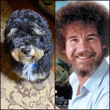 Church hair of the dog stories