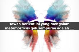 Kuis online ipa kelas 4 sd 10 questions | by alexsander | last updated: Edisi Ipa Yakin Kamu Lebih Pintar Dari Anak Kelas 4 Sd