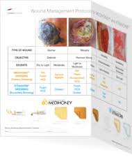 Medihoney Product Application Derma Sciences