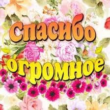 Открытки открытки с надписью спасибо