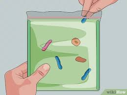 Check spelling or type a new query. 4 Ways To Make A Model Cell Wikihow