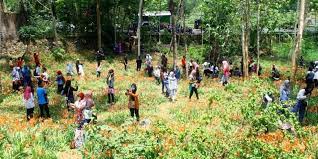 Sebenarnya masih banyak lagi tempat wisata di demak yang bisa anda kunjungi, namun saat ini kami hanya akan menyajikan 20 lokasi saja wisata. 5 Tempat Wisata Cantik Yang Rusak Akibat Fotonya Viral Di Media Sosial Halaman All Kompas Com