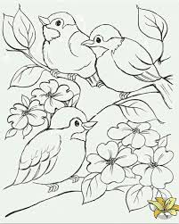 Pin De Nermin Biyikli Em Animais Flores Para Colorir Coisas Para Desenhar Padroes Para Pintura
