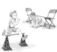 ¿quieres estar al día de todas las novedades de cerebriti? 2