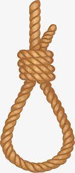 Hanging Rope Rope Vector Vector Png Rope Png Transparent Clipart Image And Psd File For Free Download Hanging Rope Digital Borders Design Hanging