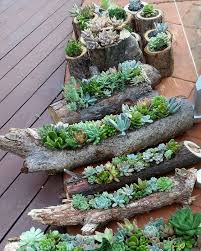 Using Old Wood As Planters Huh Garten Pflanzen Sukkulenten
